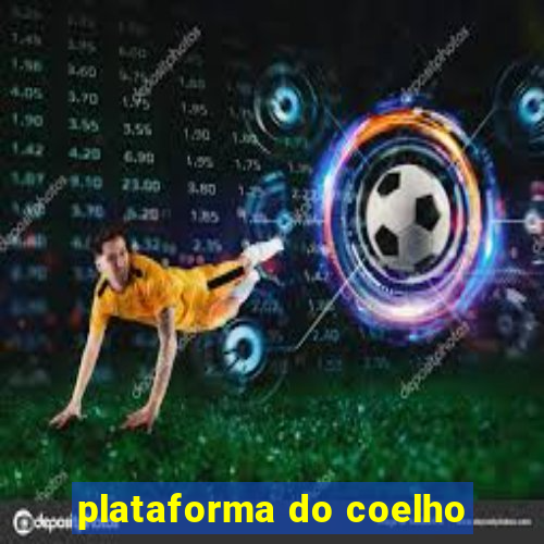 plataforma do coelho