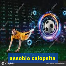 assobio calopsita