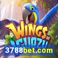 3788bet.com