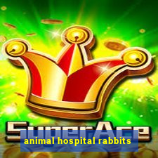 animal hospital rabbits