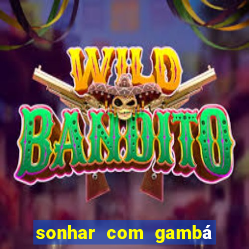 sonhar com gambá jogo do bicho