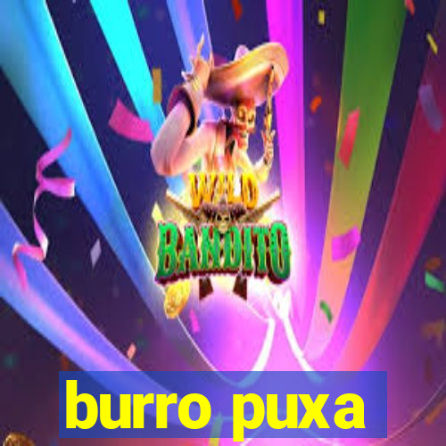 burro puxa