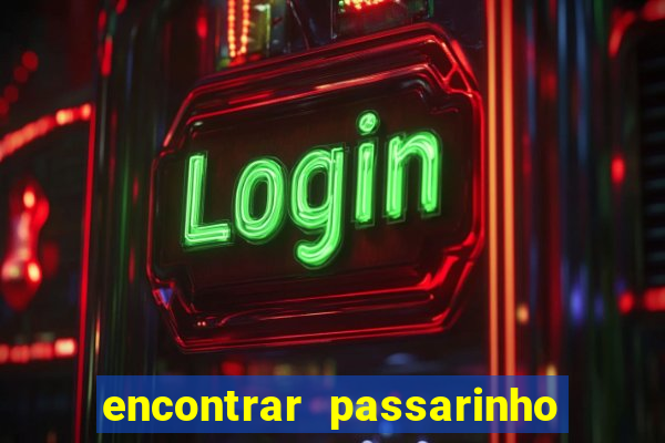 encontrar passarinho morto significado