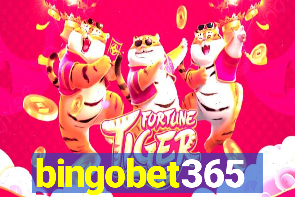 bingobet365