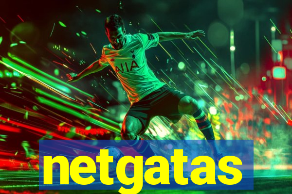 netgatas